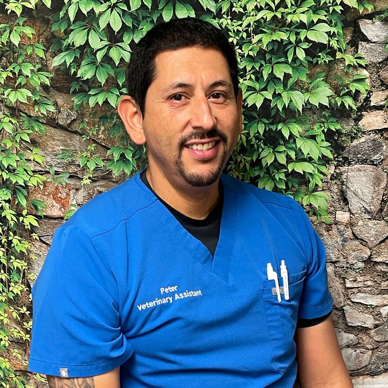 Peter Veterinary Assistant Smiling